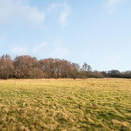 Stunning In Haderslev With Sauna Σπίτι διακοπών *